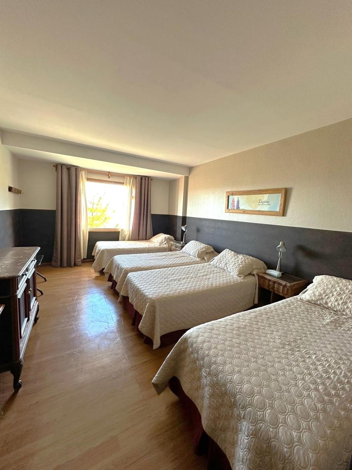 Meulen Hosteria Y Apart El Calafate Pokój zdjęcie